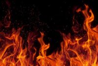 1757007930995-ilustrasi-api_169