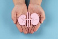 1761673374322-ilustrasi-ginjal_169