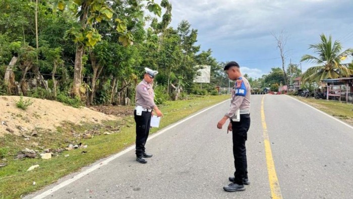 1761673460878-alan-poros-lasalepa-1761653671245_169