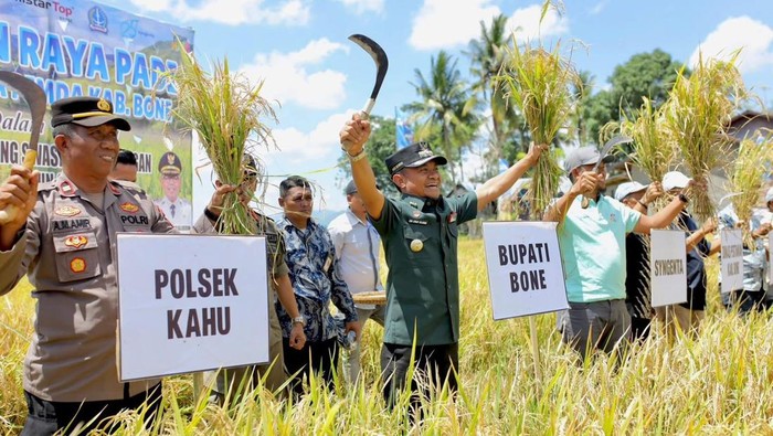 1761738206986-bupati-bone-andi-asman-sulaiman-saat-melakukan-panen-raya-di-kecamatan-kahu-agung-pramonodetiksulsel-1761731353894_169