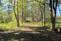 1761976246826-lokasi-wanita-tewas-dianiaya-kekasih-di-maros-dokumen-istimewa-1761963393258_169