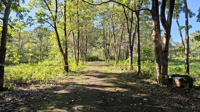 1761976246826-lokasi-wanita-tewas-dianiaya-kekasih-di-maros-dokumen-istimewa-1761963393258_169