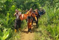 1762256900700-proses-evakuasi-pria-tewas-tenggelam-usai-melompat-dari-air-terjun-di-luwu-timur-1762246843230_169