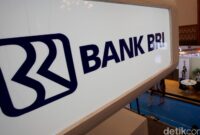 1762278774176-logo-bank-bri