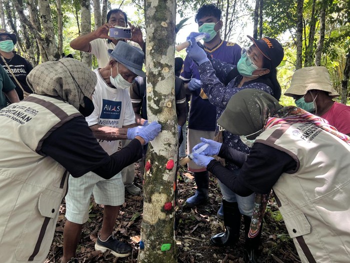 1762364876915-pelaksanaan-penyuntikan-inokulum-gaharu-dengan-inovasi-terbaru-acremonium-sp-di-sorong-papua-barat-daya-1762340033864_43