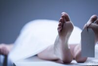 1762408342246-79a5c917-e4da-48b5-8528-0e39924ba89b_169