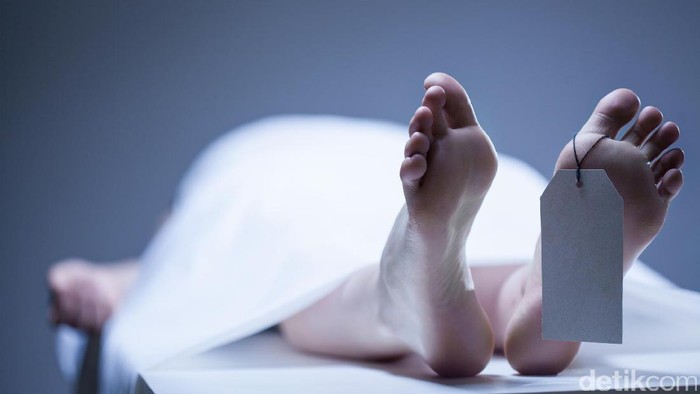 1762408342246-79a5c917-e4da-48b5-8528-0e39924ba89b_169