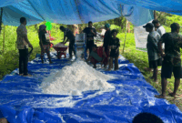 1762429813836-dosen-unamin-terapkan-inovasi-mesin-parut-sagu-kepada-petani-di-kampung-kampung-yeflio-kabupaten-sorong-papua-barat-daya-1762426725420_169