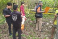 1762494781881-lokasi-penemuan-kerangka-manusia-di-selayar-1762487798587_169