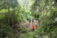 1762580352690-tim-sar-gabungan-melakukan-pencarian-pria-hilang-di-luwu-1762573061479_169