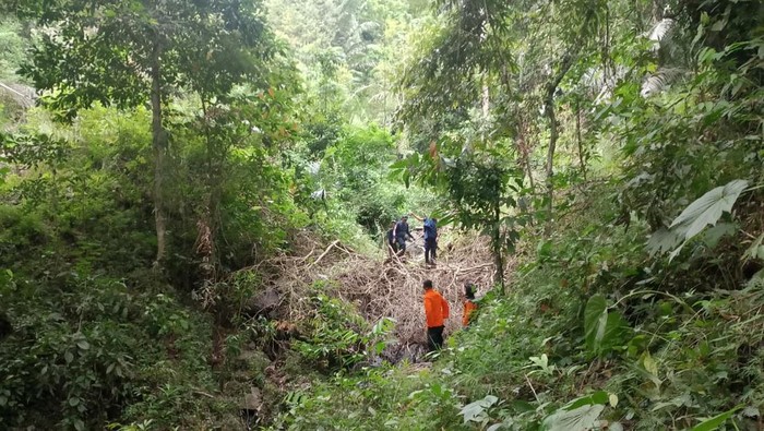 1762580352690-tim-sar-gabungan-melakukan-pencarian-pria-hilang-di-luwu-1762573061479_169