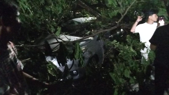 1762580410198-pohon-tumbang-timpa-mobil-di-jalan-perintis-kemerdekaan-makassar-1762570875146_169