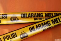 1762580447859-d22171e8-7238-4c47-bcd6-802c24f7da62_169