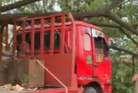 1762602128736-makassar-1762598335010_169