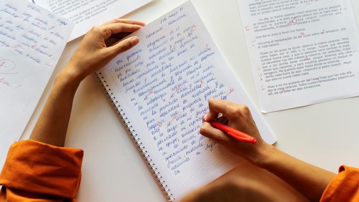 1762688631427-ilustrasi-menulis-teks_169