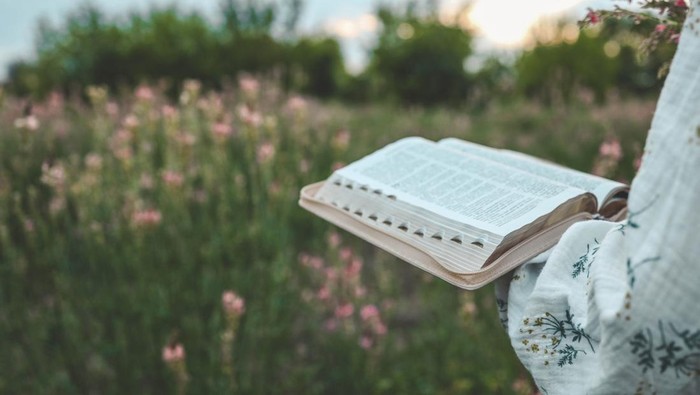 1763185433616-ilustrasi-membaca-alkitab-1754977554033_169