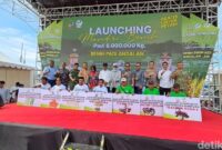 1763271509453-peluncuran-program-mandiri-benih-oleh-pemprov-sulsel-1763264433771_169