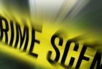 1763380230800-c88da392-bd90-458a-8651-263b163d5e48_169