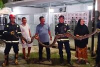 1763444824668-palopo-1763430945105_169