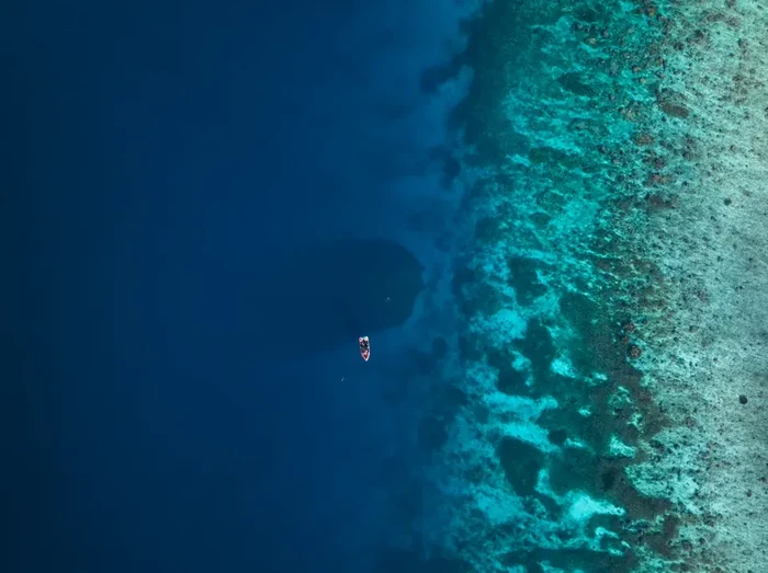 1763485596553-terumbu-karang-sebesar-dua-lapangan-basket-1_43