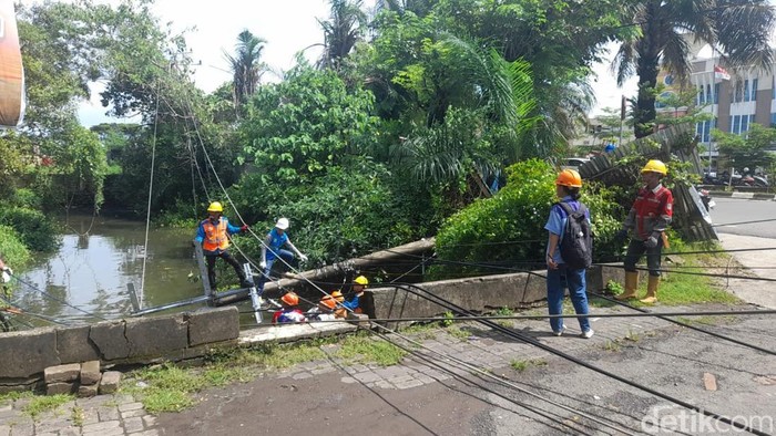 1763615234592-petugas-pln-1763607165502_169