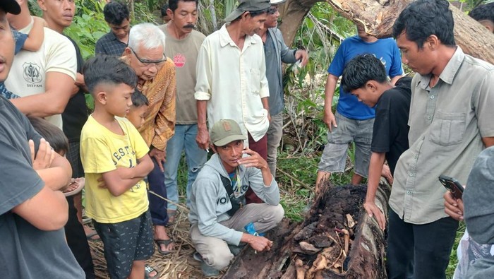 1763636783595-kerangka-manusia-yang-ditemukan-di-dalam-pohon-aren-di-sergai-sumut-dok-polres-sergai-1757480598284_169