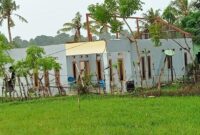 1764133587221-bone-1764129939061_169