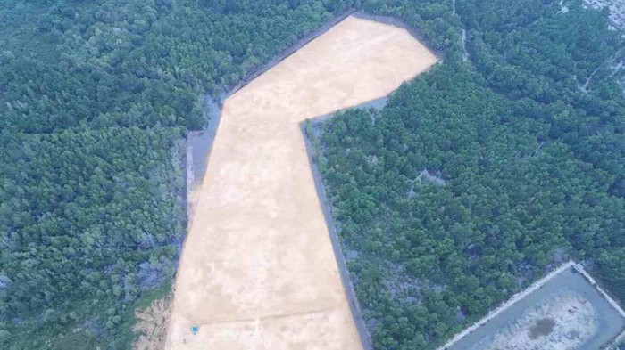 1764241593017-penampakan-hutan-mangrove-diduga-dibabat-untuk-pembangunan-rumah-pribadi-gubernur-sultra-andi-sumangerukka-dokumen-istimewa-1764227641814_169