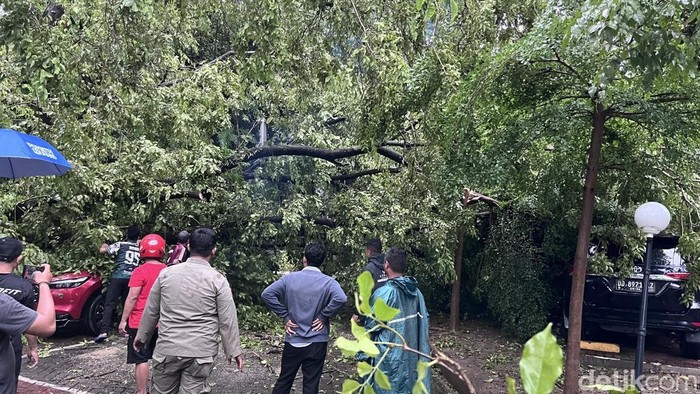 1764414374685-pohon-tumbang-di-parkiran-kantor-gubernur-sulsel-1764403333463_169