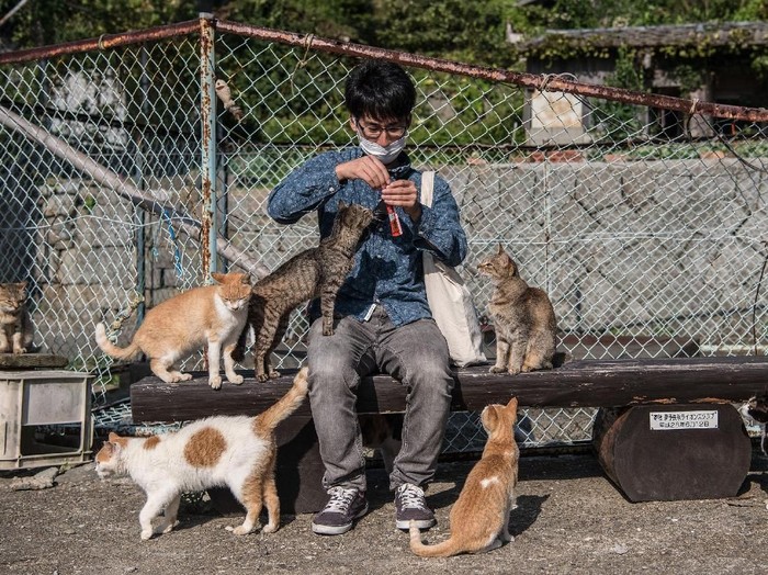 1764435966537-bc4d3d4d-8e75-4972-bc3c-546ec2328359_43