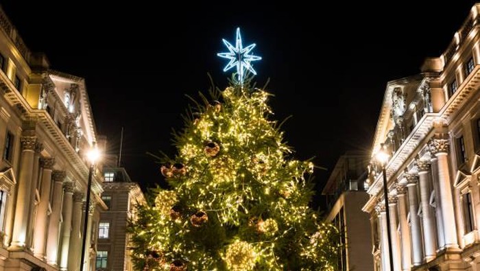 1764608826642-ilustrasi-pohon-natal_169