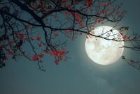 1764608841359-ilustrasi-bulan-purnama_169