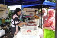 1764652016824-pemprov-sulsel-akan-menggencarkan-gerakan-pangan-murah-gpm-menjelang-nataru-1764647098349_169