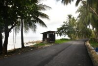 1764673628904-infrastruktur-jalan-di-selayar-semakin-mulus-1764648721518_169