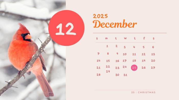 1765083966979-kalender-desember-2025-1763807495716_169