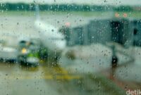 1765256802663-27769e80-3b3e-4091-a5f2-af1ae1dc233f_169