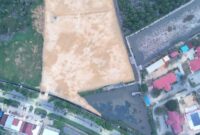 1765278393743-penampakan-hutan-mangrove-diduga-dibabat-untuk-pembangunan-rumah-pribadi-gubernur-sultra-andi-sumangerukka-dokumen-istimewa-1764227641890_169