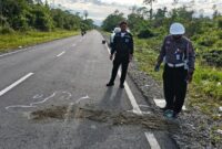 1765299995696-mimika-1765274833413_169