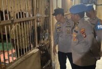 1765472802709-mamuju-1765445448460_169