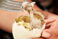 1765559175212-3ab208d8-5329-4168-9020-72f5640ffe74_43