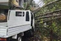 1765645587074-barru-1765629350581_169