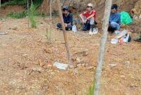 1765883170541-hutan-gundul-di-tombolo-pao-gowa-1765879557365_169