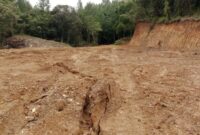 1765883172099-penampakan-puluhan-hektare-hutan-lindung-di-gowa-menjadi-gundul-akibat-illegal-logging-1765628896687_169