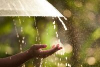 1765883173475-ilustrasi-hujan-1761276974172_43