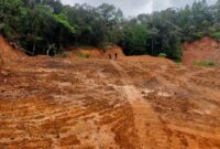 1765883180484-penampakan-puluhan-hektare-hutan-lindung-di-gowa-menjadi-gundul-akibat-illegal-logging-1765628896818_169
