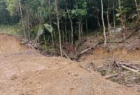 1765904834252-penampakan-puluhan-hektare-hutan-lindung-di-gowa-menjadi-gundul-akibat-illegal-logging-1765628896764_169