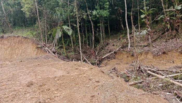 1765904834252-penampakan-puluhan-hektare-hutan-lindung-di-gowa-menjadi-gundul-akibat-illegal-logging-1765628896764_169