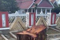 1766228771257-gubernur-sulteng-anwar-hafid-marah-usai-sebuah-pohon-depan-rumah-jabatannya-ditebang-1766227768075_169