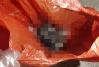 1767438511335-penampakan-potongan-kepala-sapi-diduga-teror-pemilik-warung-makan-di-makassar-1767430228750_169