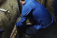 1768194408073-damkar-bone-mengevakuasi-ular-piton-dari-dalam-saluran-pipa-air-warga-1768190569791_43